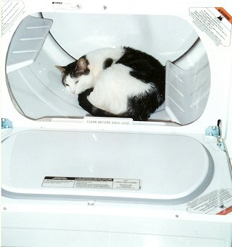 puck in the dryer